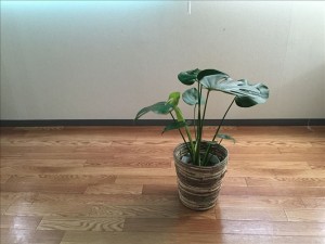 vcm_s_kf_repr_832x624
