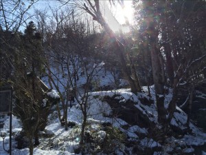 vcm_s_kf_repr_832x624