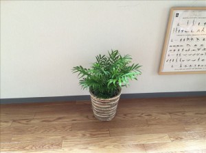 vcm_s_kf_repr_834x623
