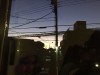 体にも『ほう・れん・そう』が大切です☆