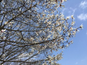IMG_5775