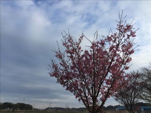vcm_s_kf_repr_832x624