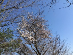vcm_s_kf_repr_832x624