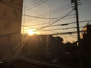 IMG_6161