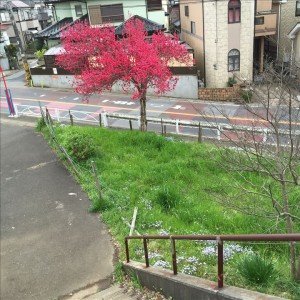 vcm_s_kf_repr_720x720