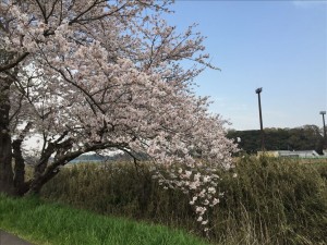 vcm_s_kf_repr_832x624