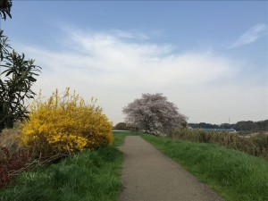 vcm_s_kf_repr_832x624