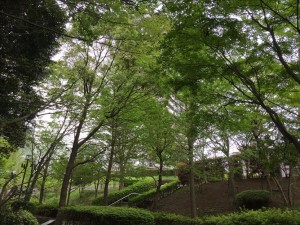 vcm_s_kf_repr_832x624