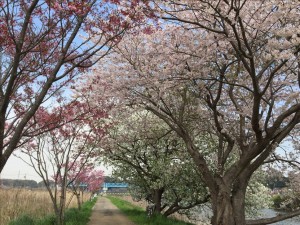 vcm_s_kf_repr_832x624