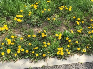 vcm_s_kf_repr_832x624