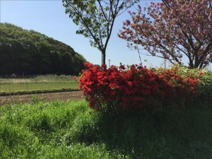 vcm_s_kf_repr_832x624