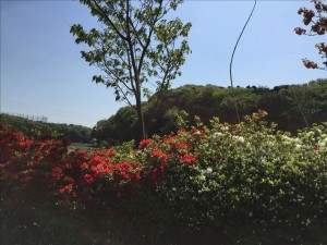 vcm_s_kf_repr_832x624