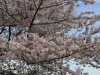 「今日」未来の種をまく☆人生は、あいこ(相こ)です。