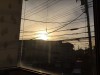 春✿どんな体を手に入れたいですか?☆人間五臓説とは?