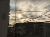 アシュタンガヨガ=『八支則』☆1日の始まり『サマスティティヒ』