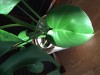 禅から見た人生三大目的とは？☆ヨガの教え「八支則」
