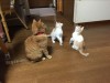 トラタカ法の効果☆呼吸筋を使おう