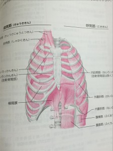 vcm_s_kf_repr_832x624