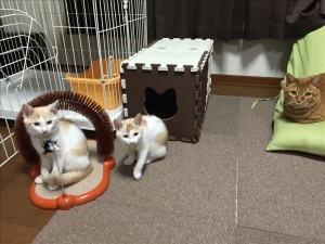 vcm_s_kf_repr_832x624