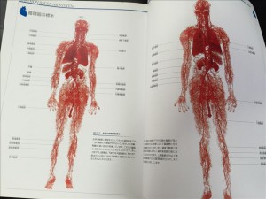 vcm_s_kf_repr_832x624