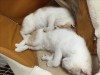 3人寄れば文殊の知恵☆両得です。