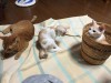 暑いけれど、爽快!大汗!