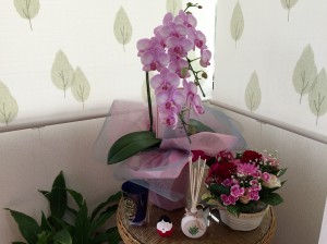 IMG_0782