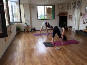 IMG_0887