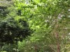 活き活き、みずみずしい潤い☆夏の疲れに負けない体力つくりを!