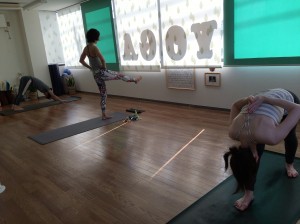 IMG_1251