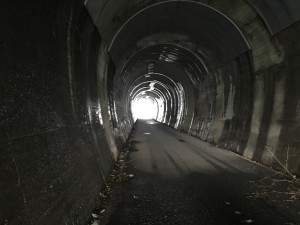 img_1566