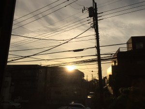 img_1606