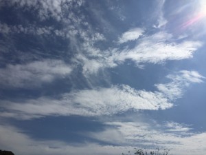img_1710