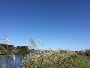 img_1835