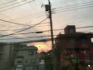 img_1877