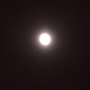 img_2107