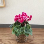 img_2664