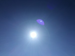 IMG_3016
