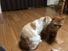 無邪気でかわいい天使&アニマル☆最高の癒しです