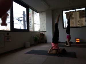 IMG_3270 (640x478)