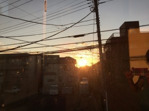 IMG_3335 (640x478)
