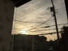 春眠暁を覚えず☆花落ちること知る多少