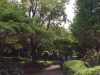 天使の祈り…☆世界が平和でありますように…