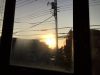 一日一日…☆毎日新鮮です♪