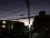 早起きは三文の徳…☆ホメオスタシス(恒常性)を働かせよう!