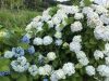 真の健康は…「気づき」から✤自分のからだを信じること…