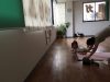 Newデザインパンフレット…✤呼吸は架け橋です