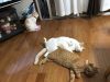 からだが動くって楽しい！✤「元気」になるお手伝い