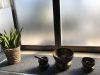 ときめきDiary✳︎止まっていたものが息を吹き返します