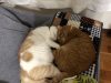 忍耐力が試されています✤踏ん張るこころは痛みが少ないです